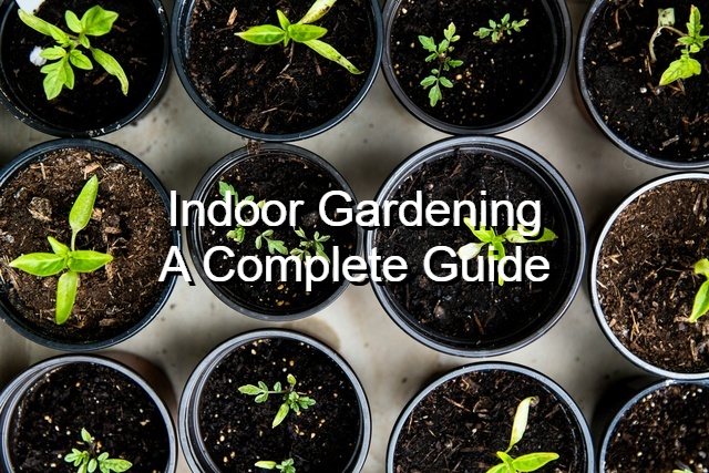 what you need indoor gardening for