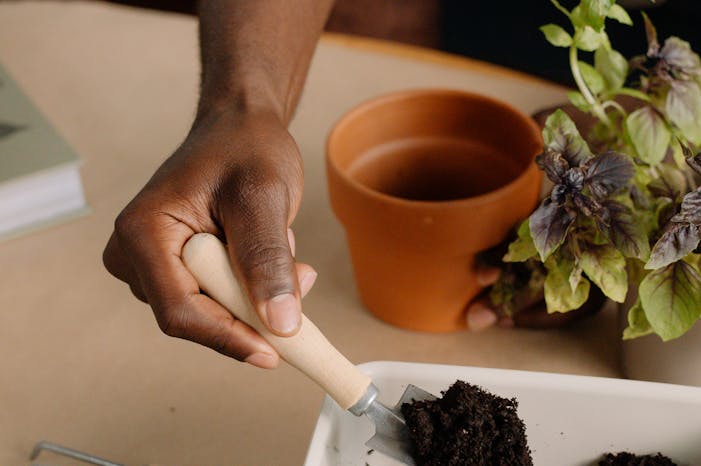 pexels-cottonbro-9709223 (1) tools for indoor gardening