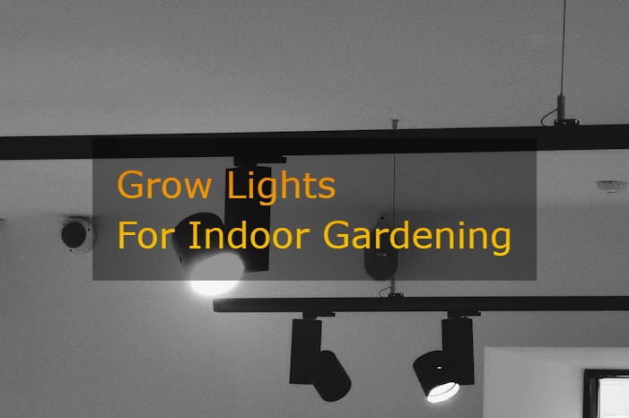 what are the best grow lights for indoor gardening