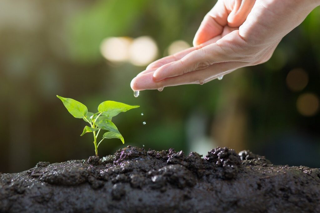 soil-8080788_1280 indoor gardening care