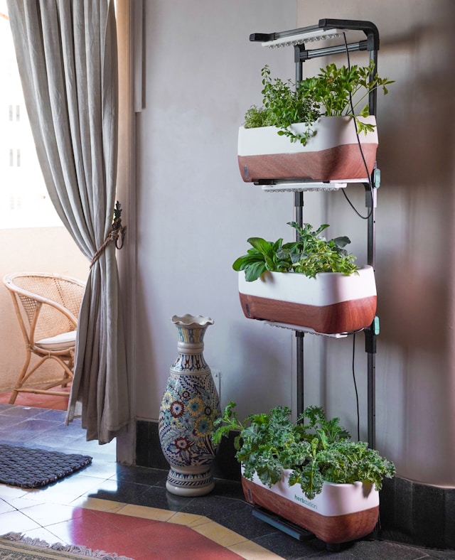 small indoor garden