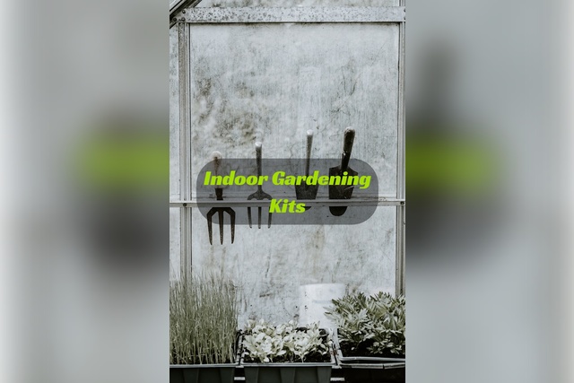 indoor gardening kit for beginners