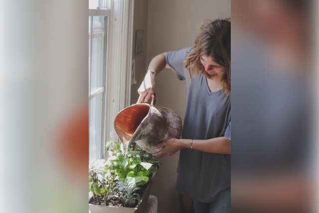 cassidy-phillips-EOJRrenjc4c-unsplash how to care an indoor herb garden