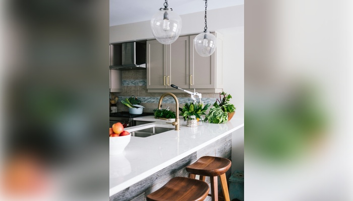 christian-mackie-cc0Gg3BegjE-unsplash (1) best nontoxic houseplants for kitchen