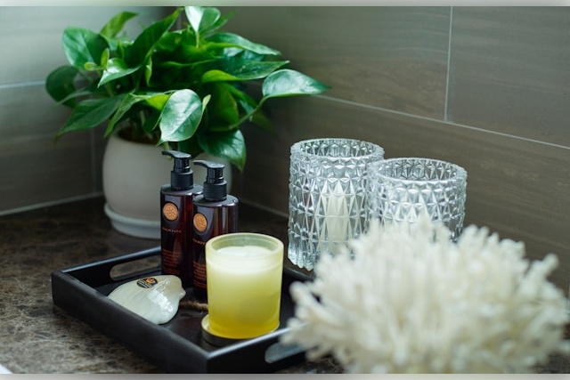 huy-nguyen-EoN5wFuqcz8-unsplash best bathroom plants no light