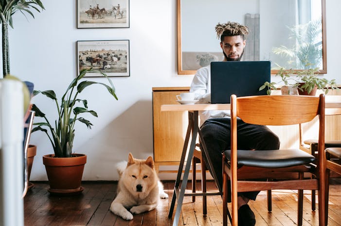pexels-zen-chung-5749798 best indoor plants for beginner with dogs