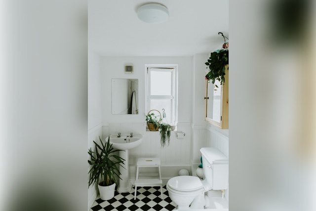 phil-hearing-U7PitHRnTNU-unsplash best bathroom plants low light