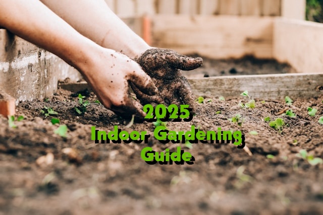 2025 indoor gardening guide