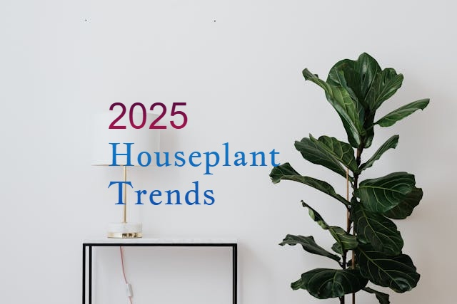 2025 houseplant trends
