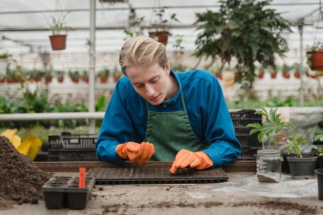 easy to grow plants from seed indoors