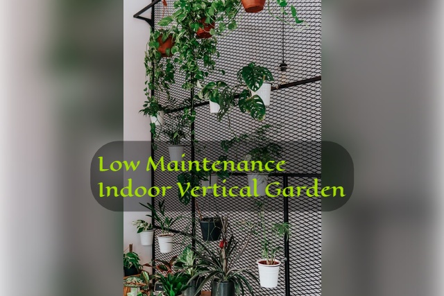 low maintenance indoor vertical garden