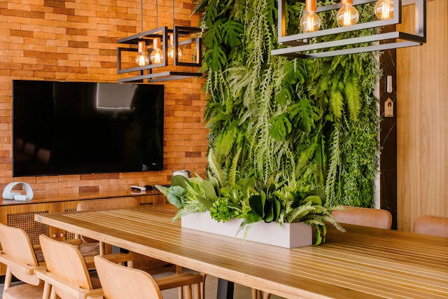 low maintenance indoor vertical garden